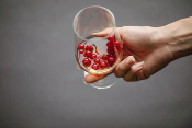 wine glass