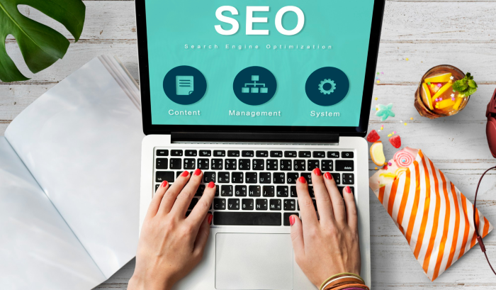 Learning how to use White Label SEO Software