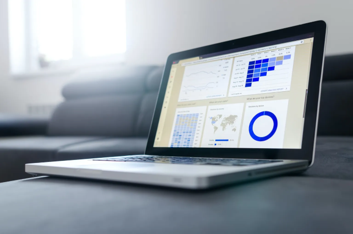 Ecommerce analytics software